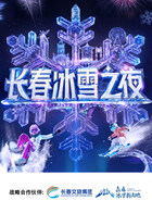 长春冰雪之夜